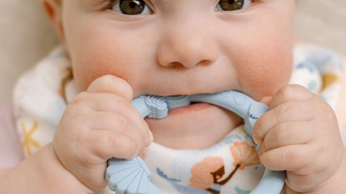 Baby Teether