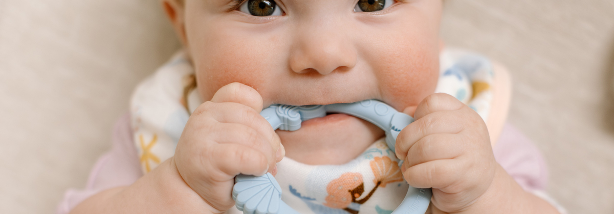 Baby Teether