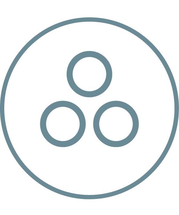 Icon featuring three circles in a larger cirlce