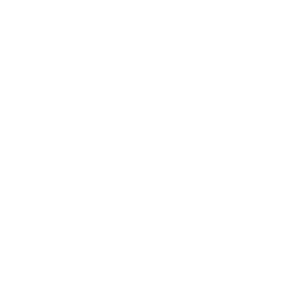 Phthalate Free icon